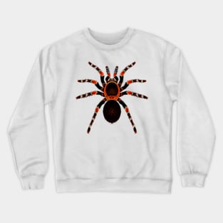 Funky Tarantula Spider Crewneck Sweatshirt